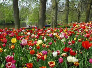 LA PRIMAVERA SECONDO GLI OLANDESI