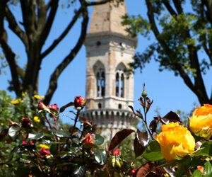 Seducenti collezioni, al Perugia Flower  Show 2018