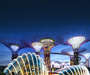 In scena nella Città del Leone dall’11 al 19 gennaio l’ottava edizione Singapore Art Week. Eventi, installazioni, mostre, tecnologia, nuovi appuntamenti e emozionanti esperienze artistiche.