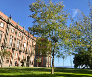 Novità green, alla riapertura del Real Bosco di Capodimonte