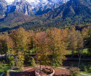 STEFANO BOERI INTERIORS, DISEGNA A “TREE-ROOM” FOR ARTE SELLA, LA STANZA CHE NON HA PARETI MA ALBERI