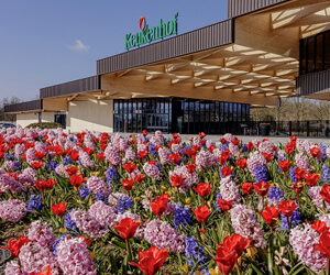 Keukenhof is a place to visit at least once in your lifetime