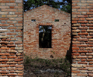 ESPLORARE L’AMBIENTE SULL'ISOLA DELLA CERTOSA