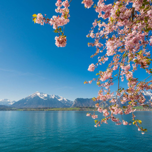 Interlaken, nel cuore della Svizzera più autentica: tra natura, bellezza, tradizioni e nuove esperienze