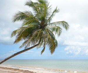 Brasile: viaggio alla scoperta di Alagoas