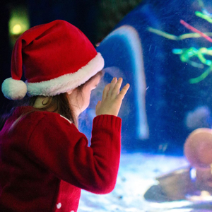 Gardaland Magic Winter: le imperdibili novità fino all’8 gennaio 2023