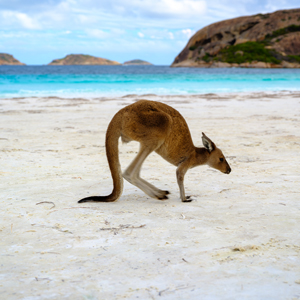 Viaggio nei Parchi Nazionali in Western Australia e la sua incredibile diversità