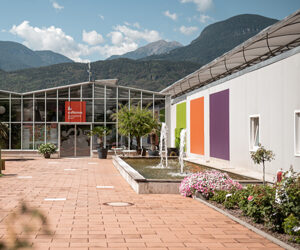 Il Mondo delle orchidee in scena nella regione di Lana in Alto Adige