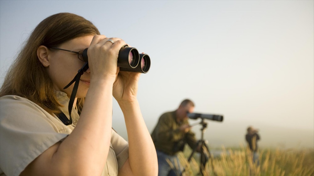 North Dakota: otto location dove ammirare la fauna selvatica