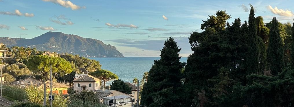 Giappone, Diario di Viaggio in 4 supersteps. (4° SUPERSTEP)